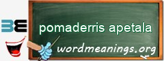 WordMeaning blackboard for pomaderris apetala